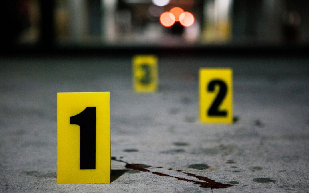Dispersione scolastica e microcriminalità