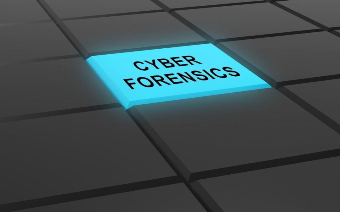 Investigazioni informatiche in Puglia